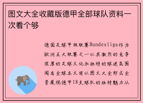 图文大全收藏版德甲全部球队资料一次看个够