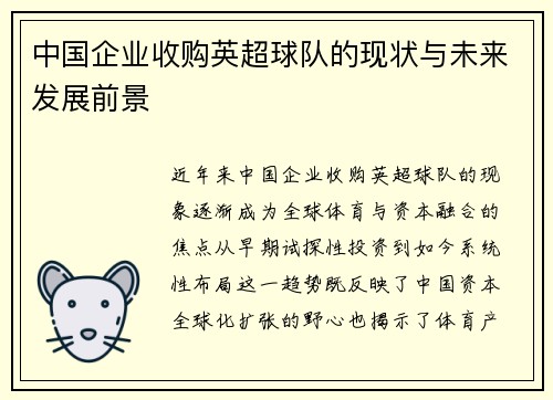 中国企业收购英超球队的现状与未来发展前景