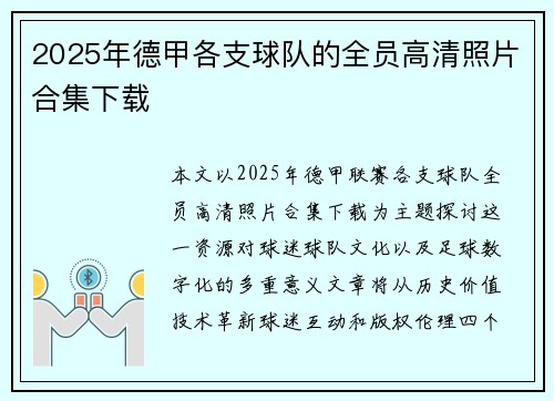 2025年德甲各支球队的全员高清照片合集下载