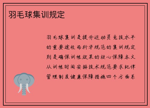 羽毛球集训规定
